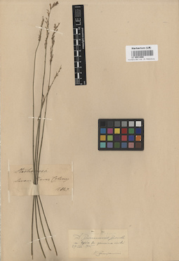 LE 00014868