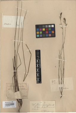LE 00014870