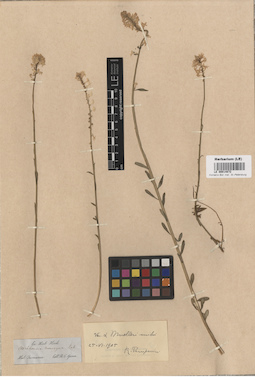 LE 00014872