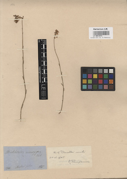 LE 00014873