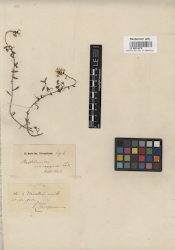 LE 00014874
