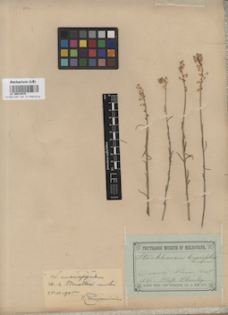 LE 00014875