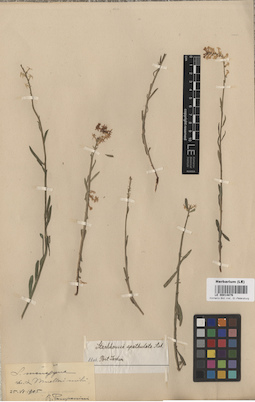 LE 00014876