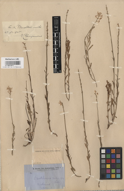 LE 00014877
