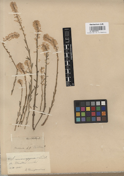 LE 00014878