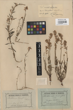 LE 00014884