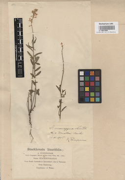 LE 00014885