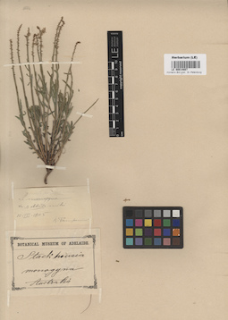 LE 00014887
