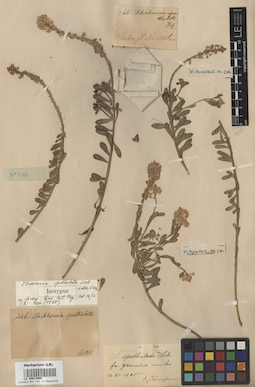 LE 00014890
