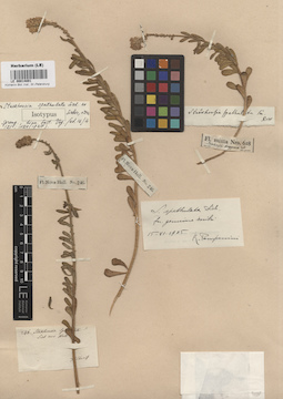 LE 00014891