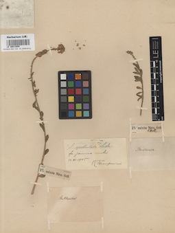LE 00014894