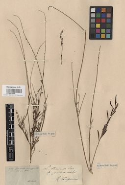 LE 00014895