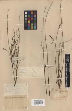 LE 00014896