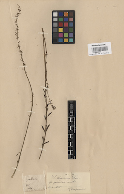 LE 00014897
