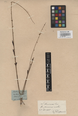 LE 00014901