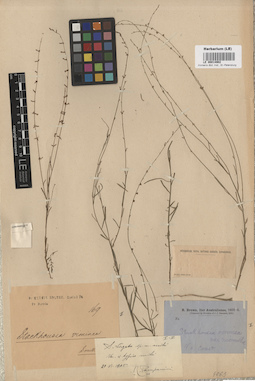 LE 00014902