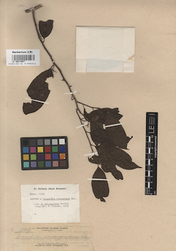 LE 00014907