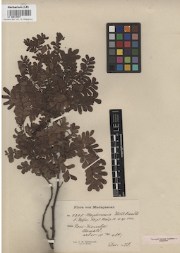 LE 00014947