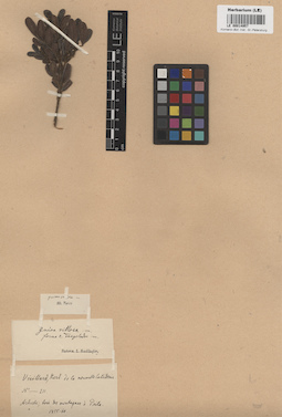 LE 00014957