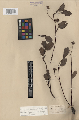 LE 00015043