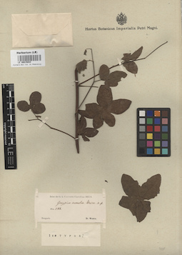 LE 00015044