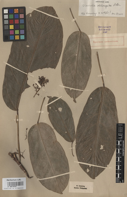 LE 00015076