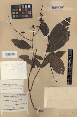 LE 00015085