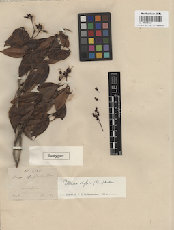 LE 00015118