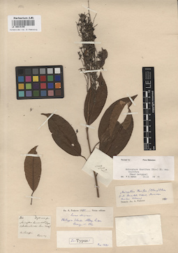 LE 00015159