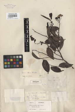 LE 00015171