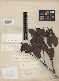 LE 00015172