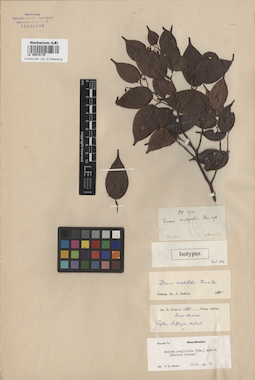 LE 00015179