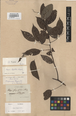LE 00015188