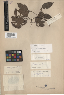 LE 00015191