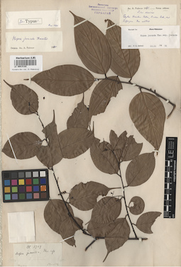 LE 00015193