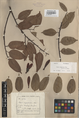 LE 00015197