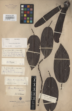 LE 00015209
