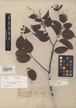 LE 00015226