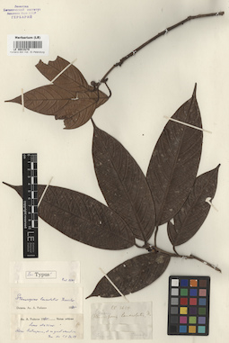 LE 00015270