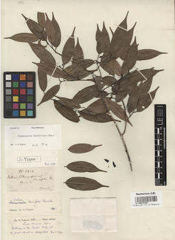 LE 00015280