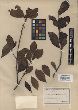 LE 00015360