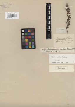 LE 00015384