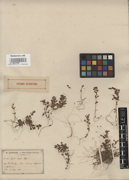 LE 00015390