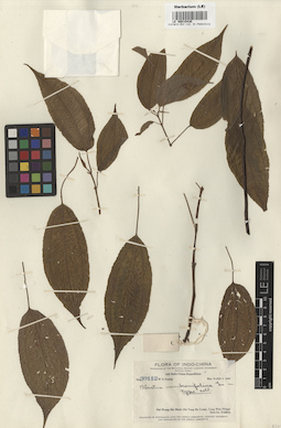 LE 00015430