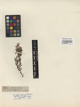 LE 00015490