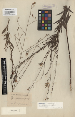 LE 00015492