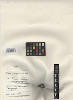 LE 00015516