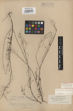 LE 00015536