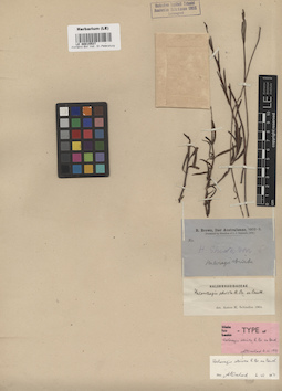 LE 00015537