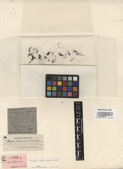 LE 00015549